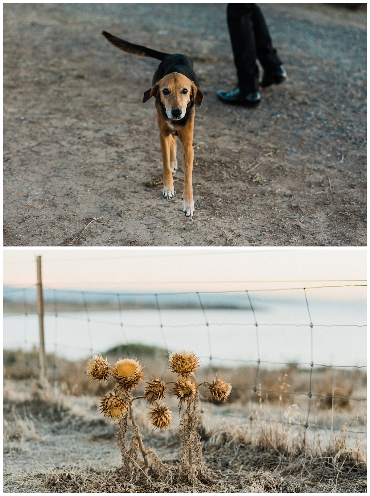 adelaidewedding goldlightphotography.jpg184 - Shannon + Michael, Star of Greece