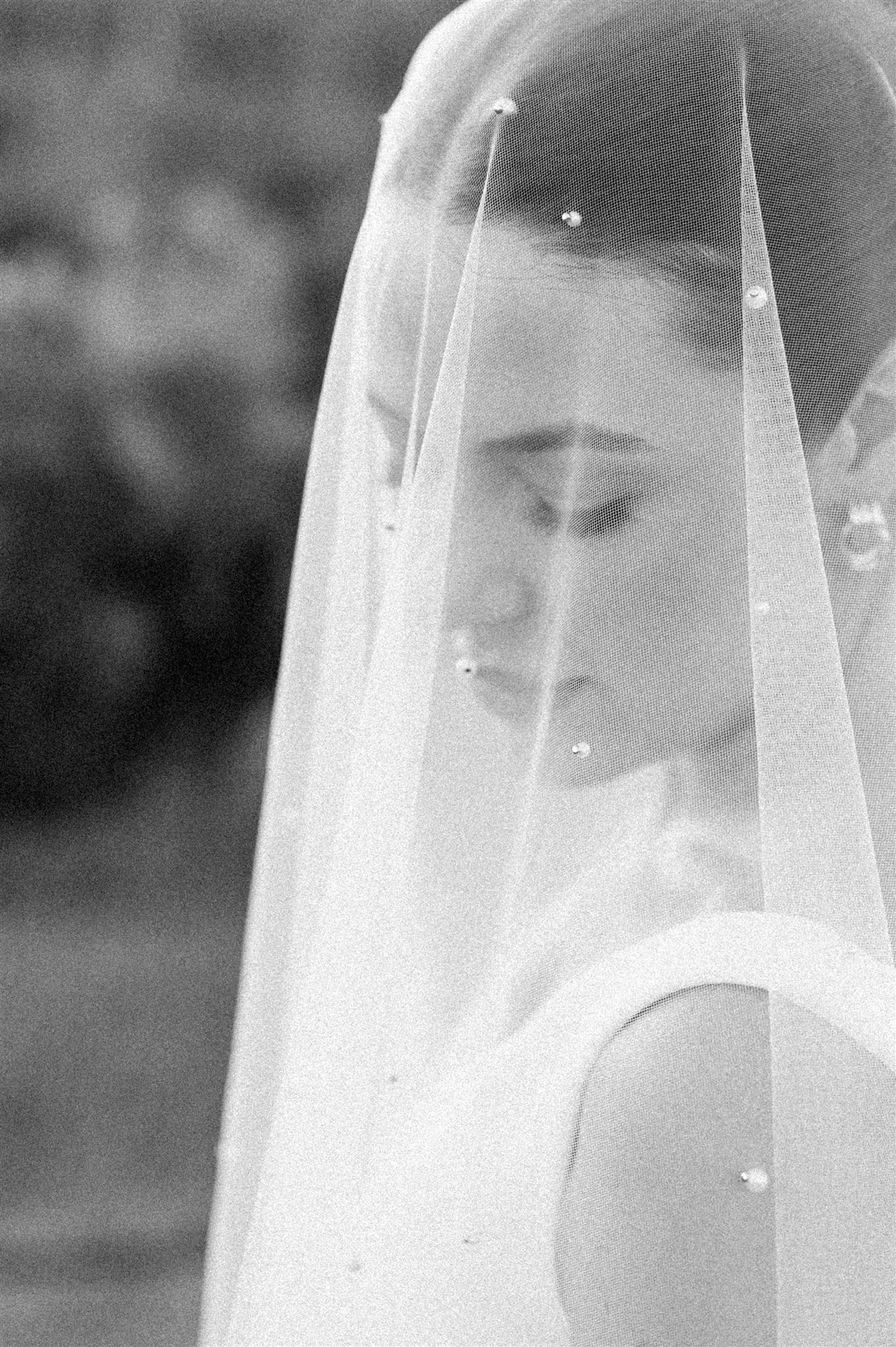 10428168135 webres 2 - Galleries