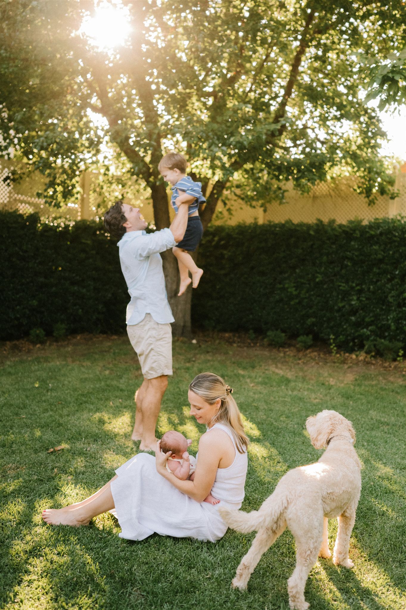 h 121 websize - Family